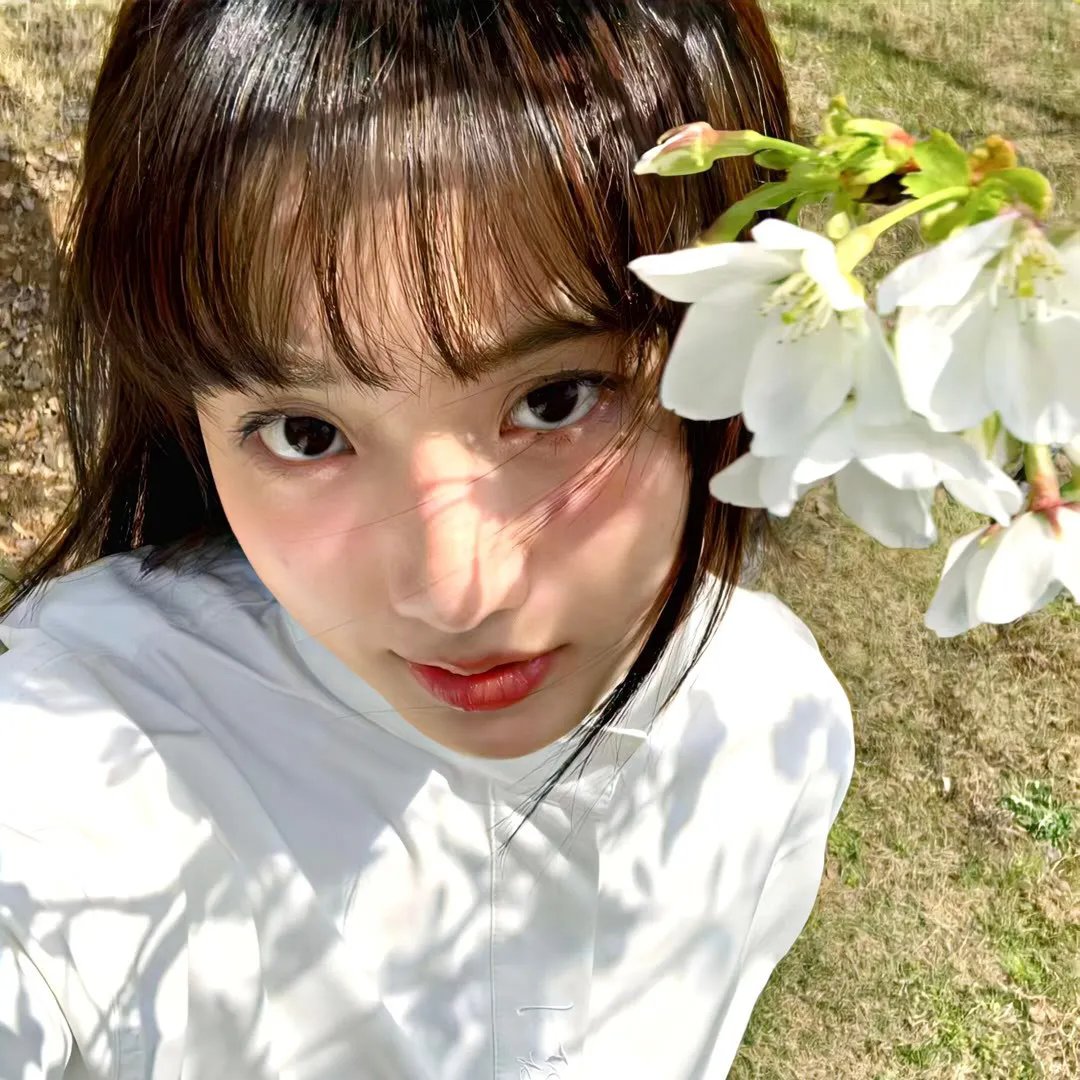 铁核桃之无间风云 热播封面